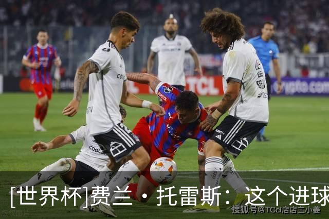 [世界杯]费兰·托雷斯：这个进球属于全体西班牙同胞